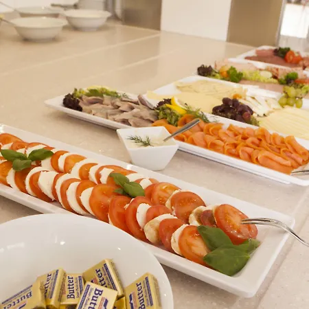 弗里西亚酒店 4* 里尔