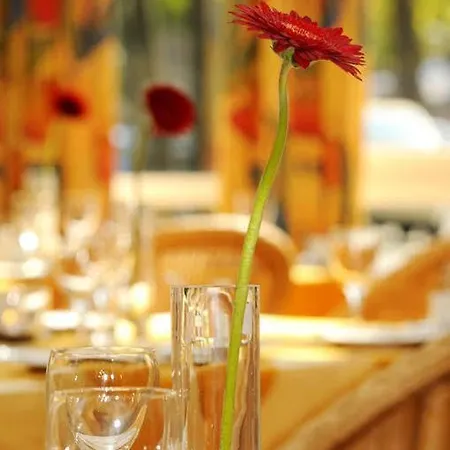 Frisia 4* Leer (Ostfriesland)